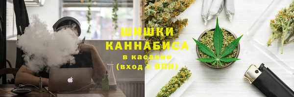 мяу мяу мука Абаза