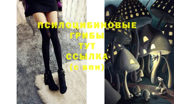 сатива Медногорск