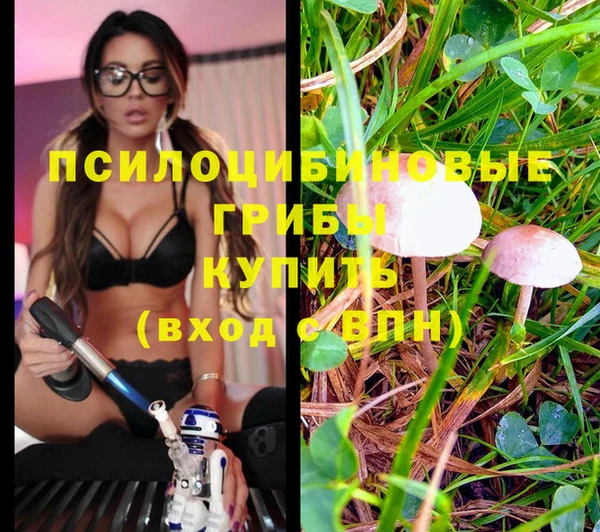 прущая мука Алзамай