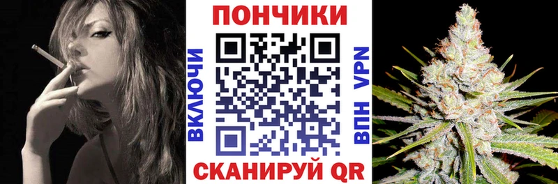Конопля план  Северодвинск 